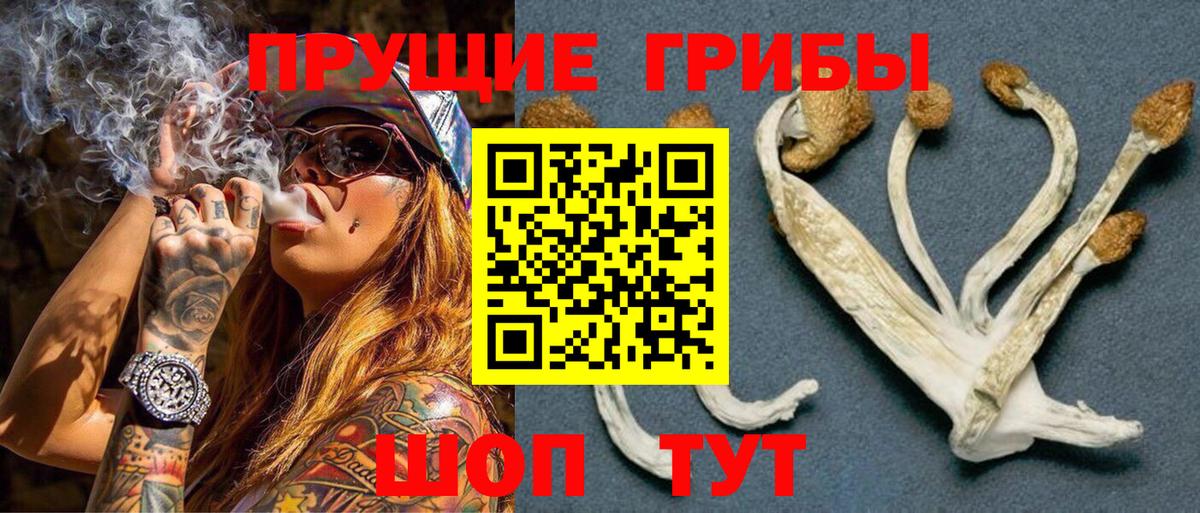 Галлюциногенные грибы прущие грибы Отрадный